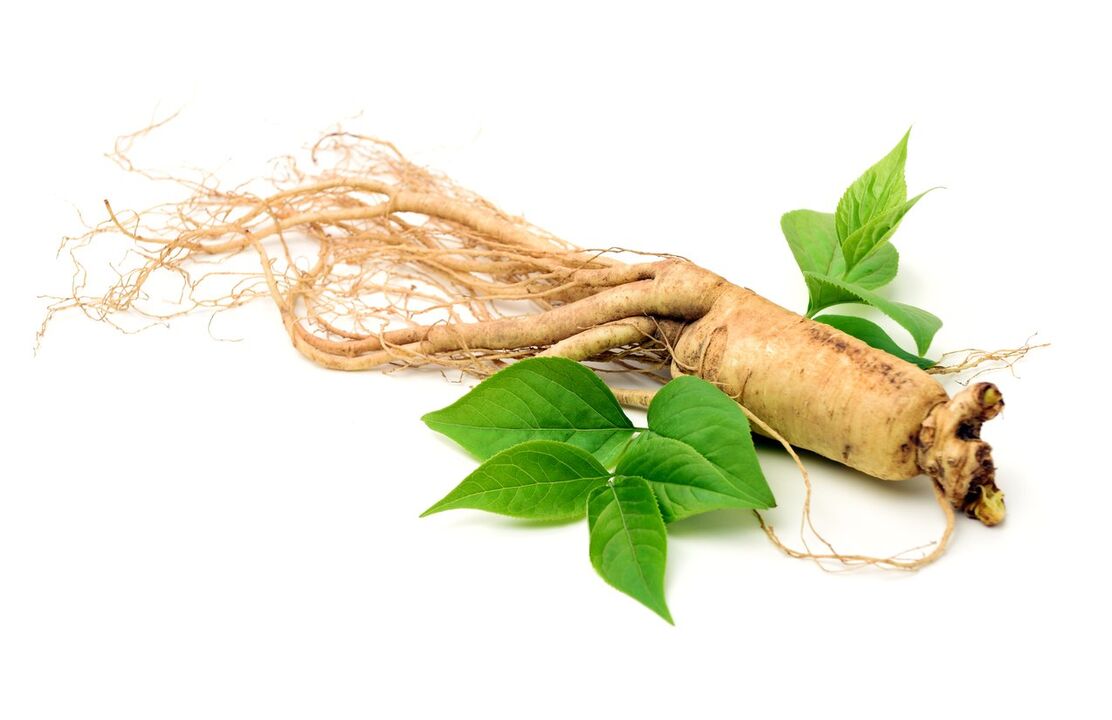 raiz de ginseng em cápsulas Pulsero